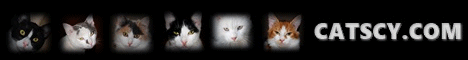 http://www.catscy.com/banners/cats486.gif
